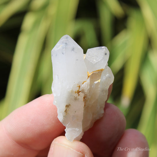 Holldanite Quartz Natural Cluster Crystal