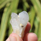 Holldanite Quartz Natural Cluster Crystal