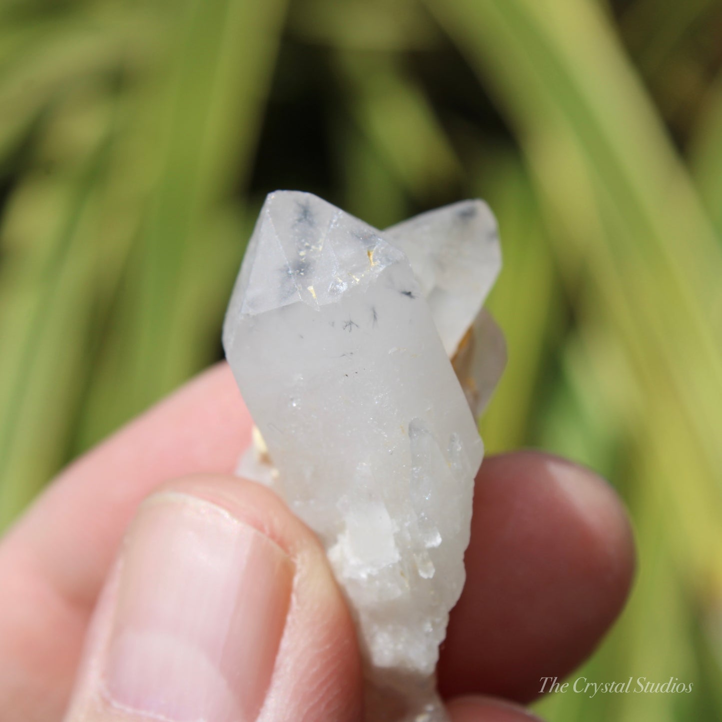 Holldanite Quartz Natural Cluster Crystal