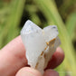 Holldanite Quartz Natural Cluster Crystal