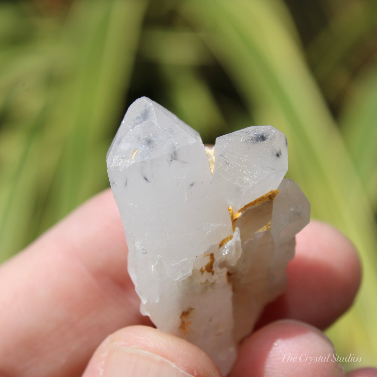 Holldanite Quartz Natural Cluster Crystal