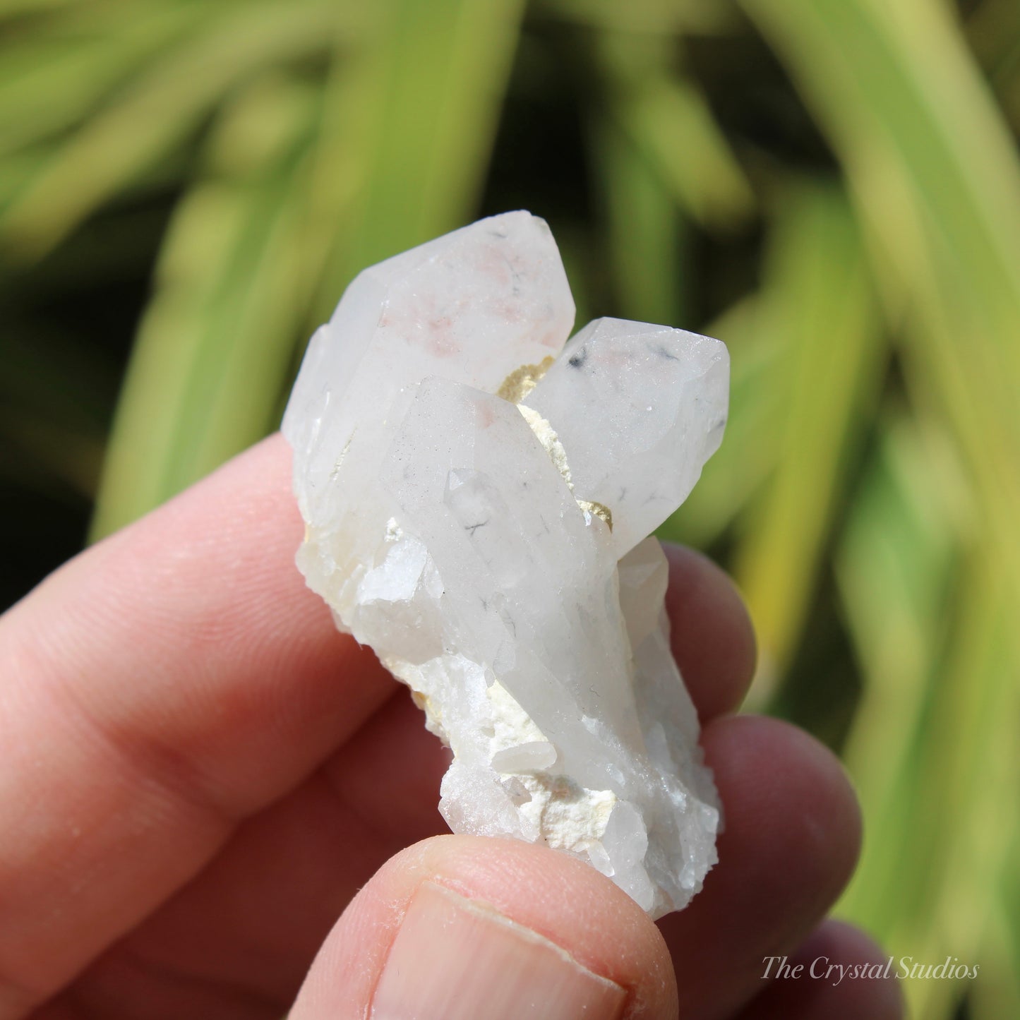 Holldanite Quartz Natural Cluster Crystal