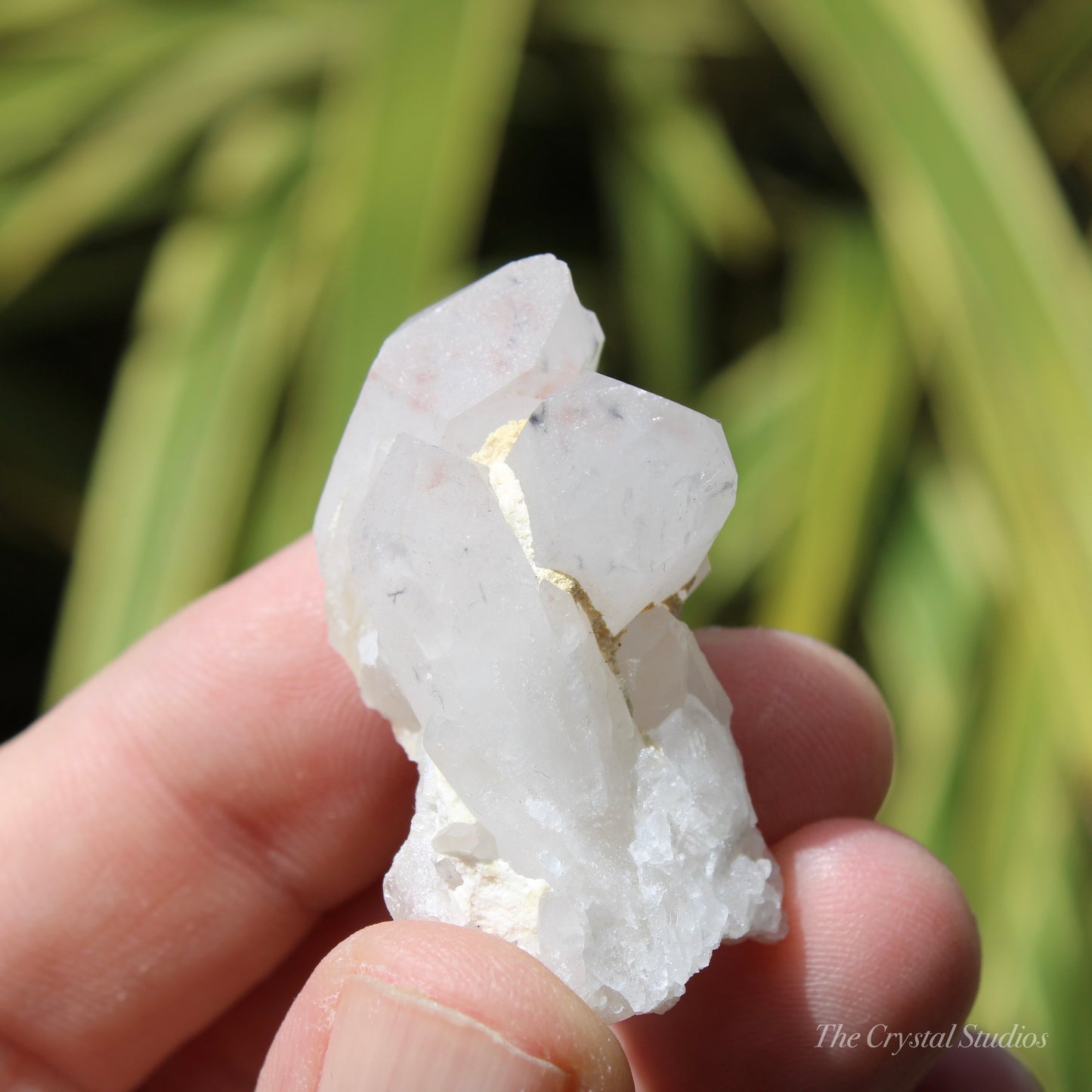 Holldanite Quartz Natural Cluster Crystal