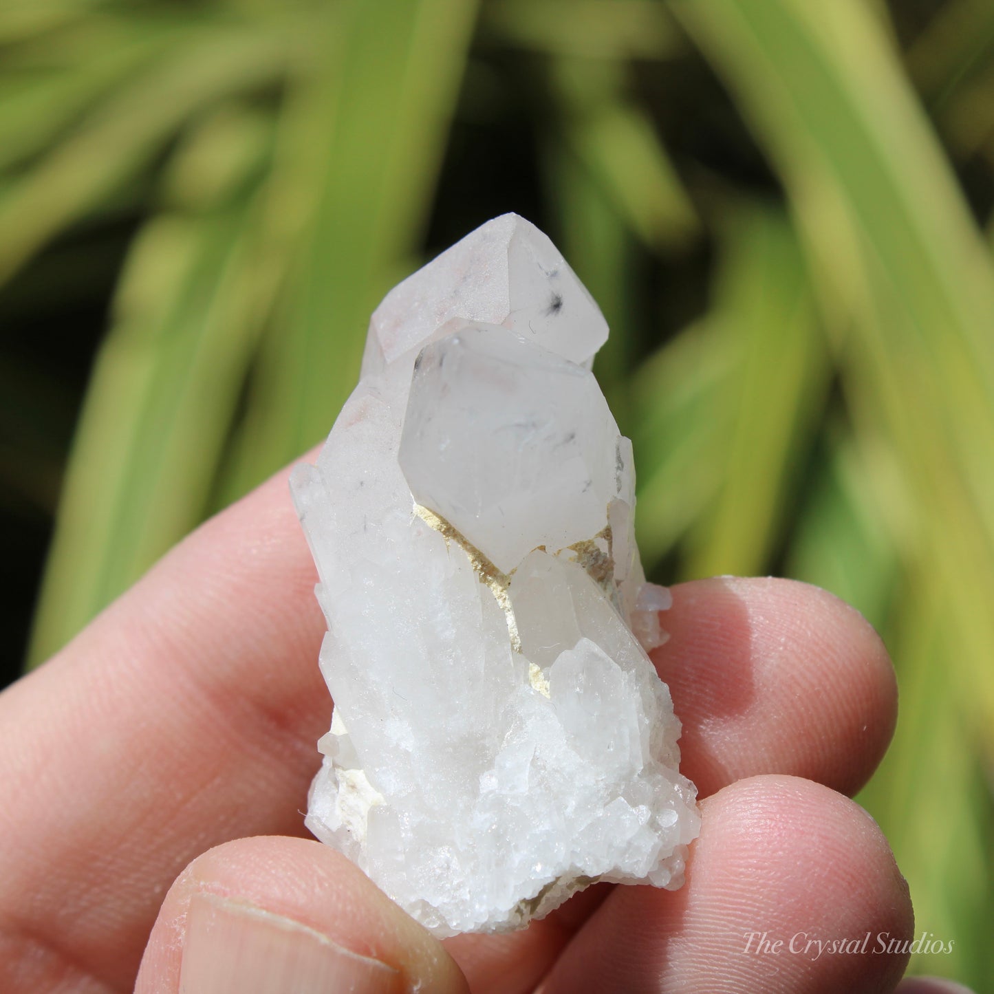 Holldanite Quartz Natural Cluster Crystal