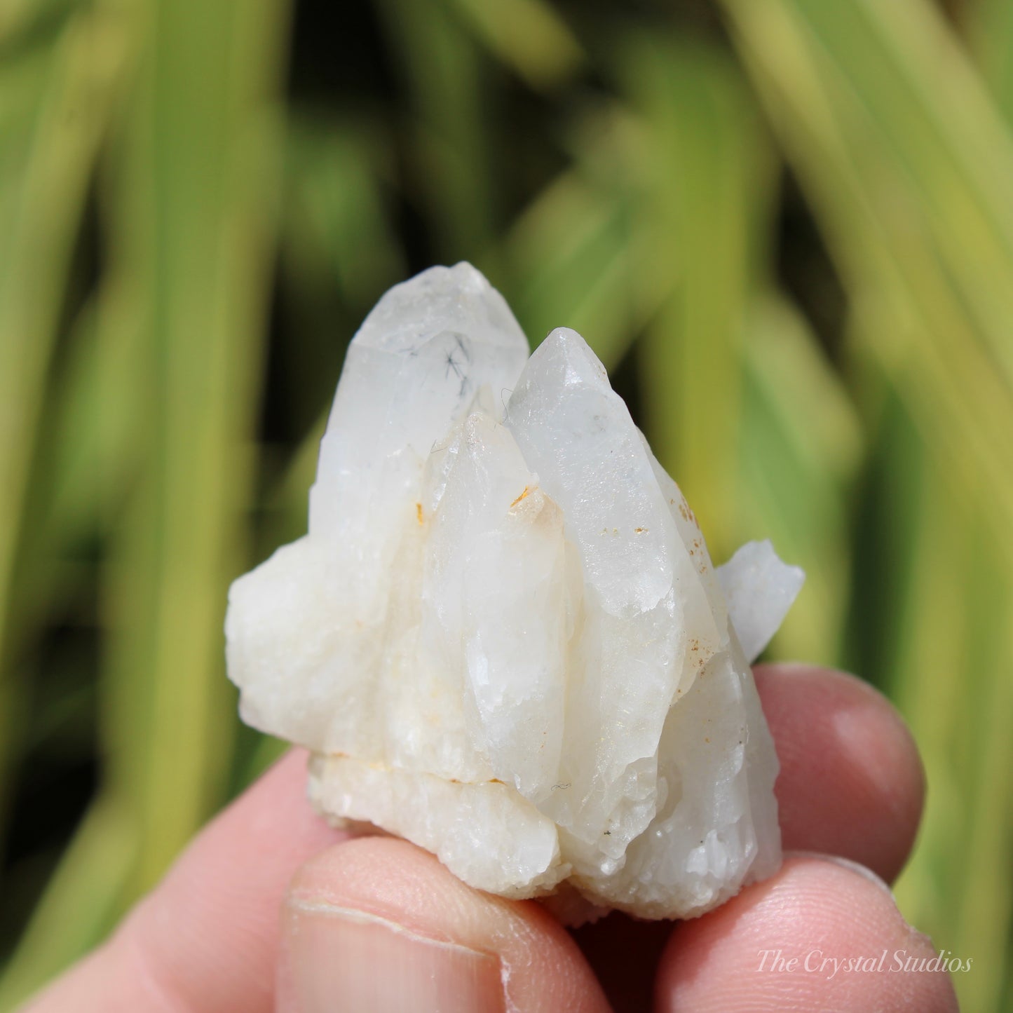 Holldanite Quartz Natural Cluster Crystal