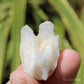 Holldanite Quartz Natural Cluster Crystal