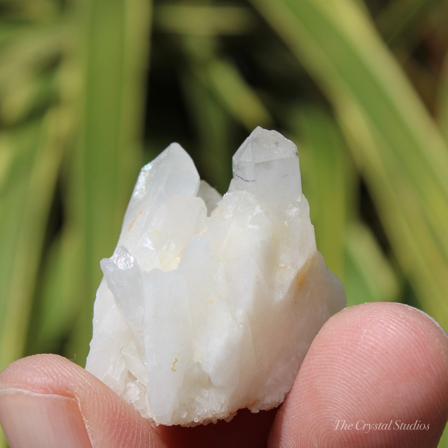 Holldanite Quartz Natural Cluster Crystal