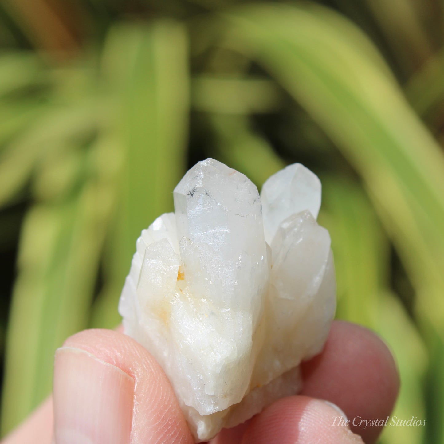 Holldanite Quartz Natural Cluster Crystal