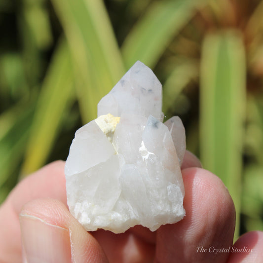 Holldanite Quartz Natural Cluster Crystal