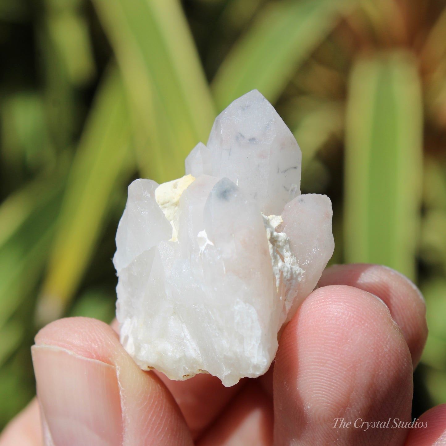 Holldanite Quartz Natural Cluster Crystal