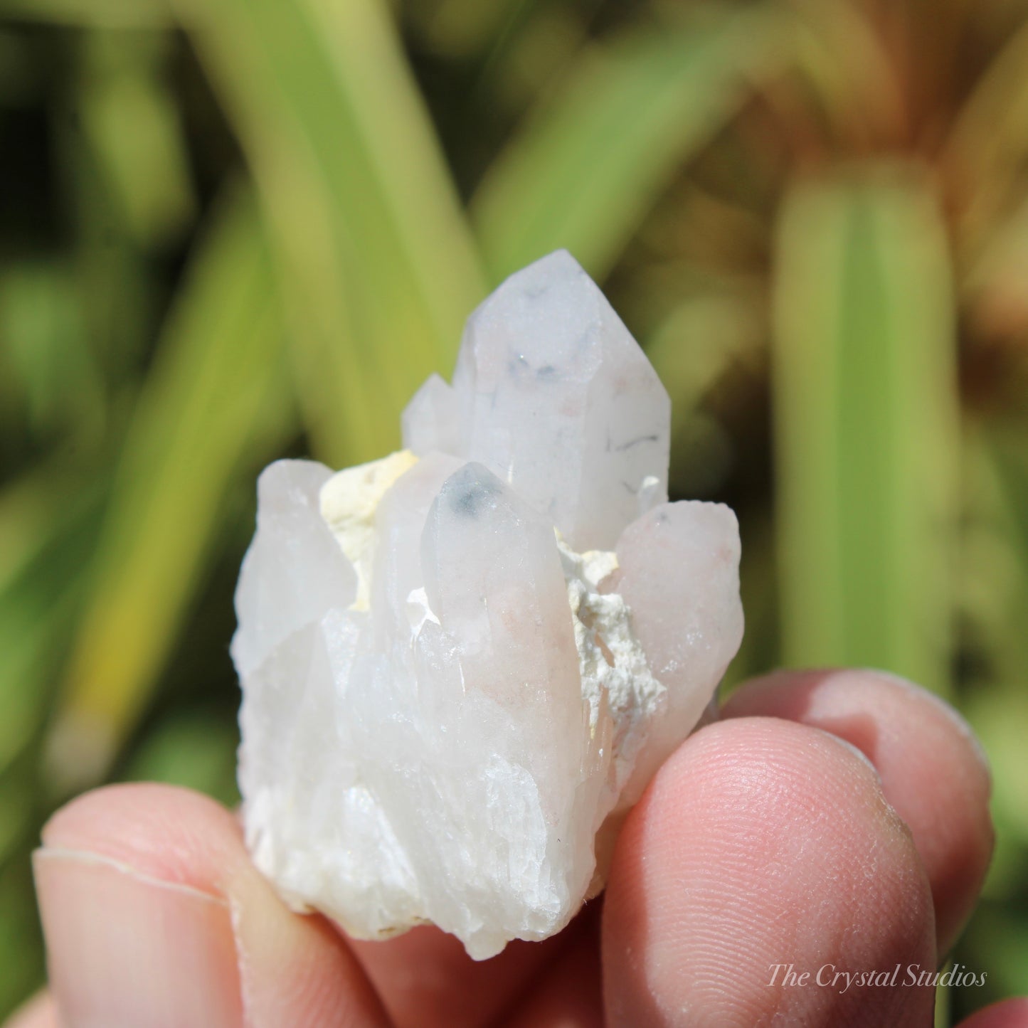 Holldanite Quartz Natural Cluster Crystal