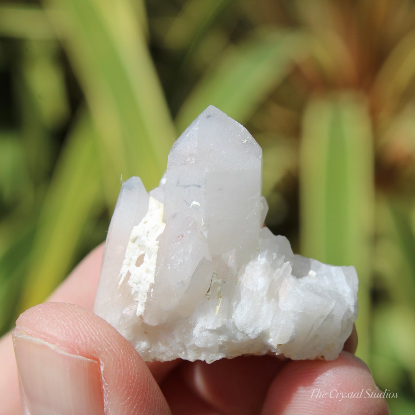 Holldanite Quartz Natural Cluster Crystal