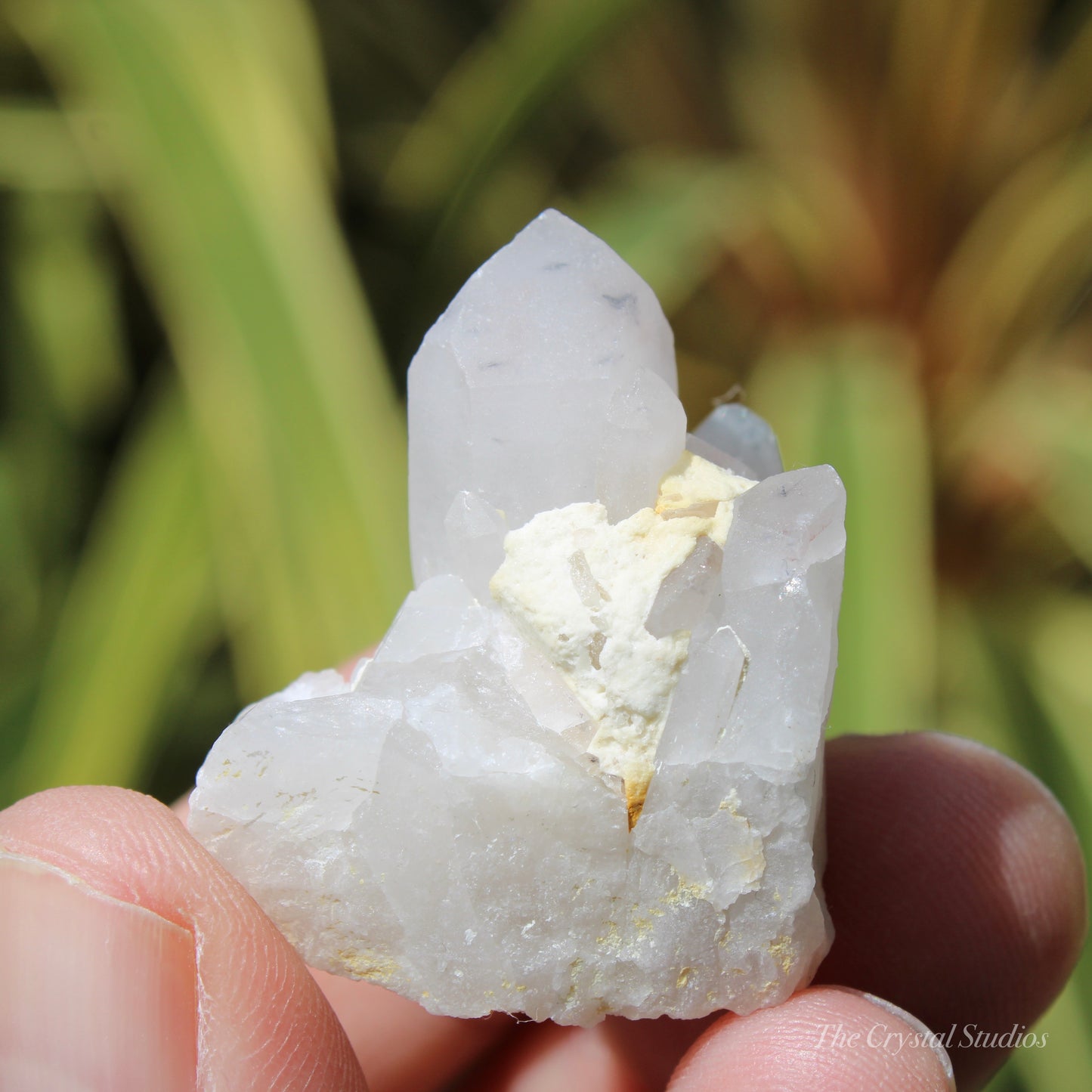 Holldanite Quartz Natural Cluster Crystal