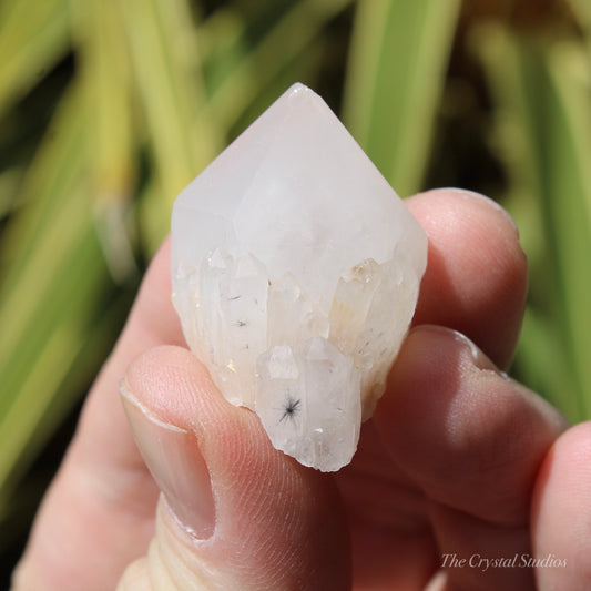 Holldanite Quartz Natural Point Crystal