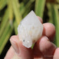 Holldanite Quartz Natural Point Crystal