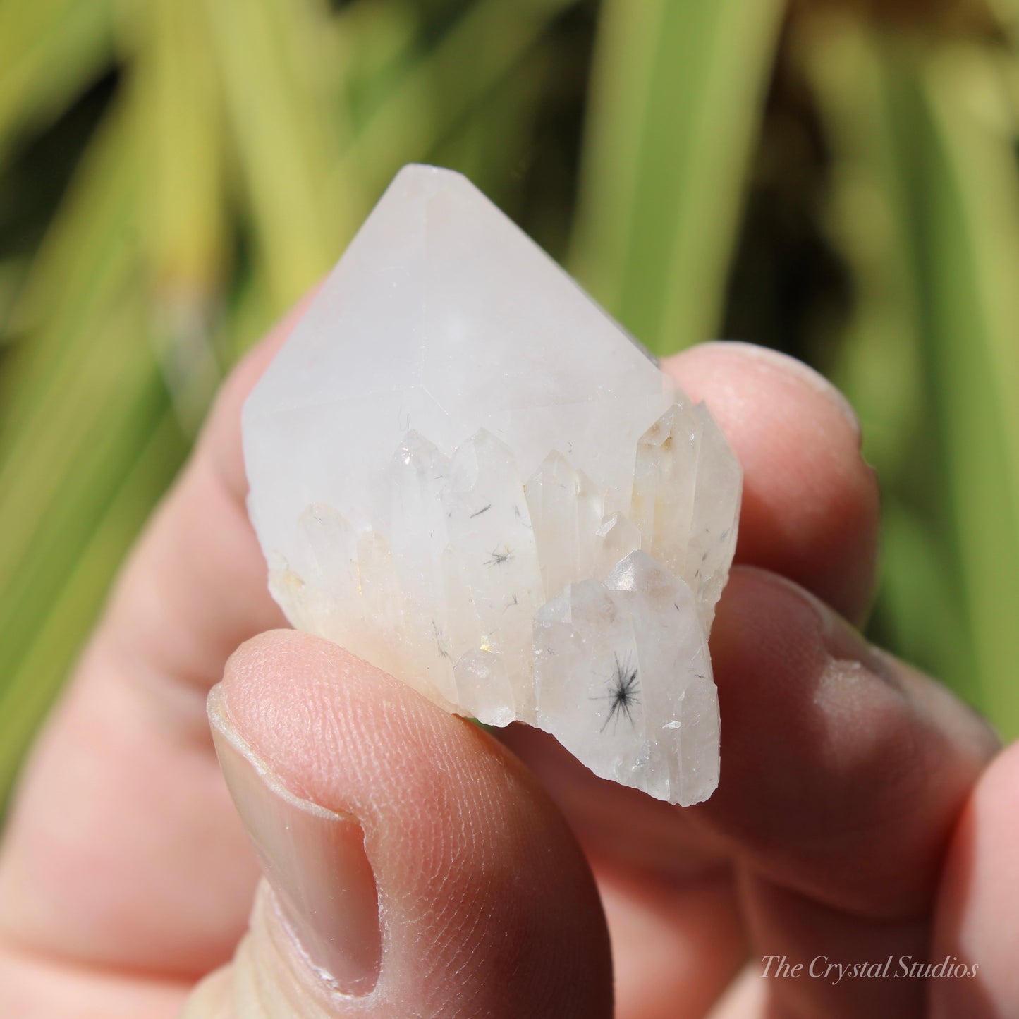 Holldanite Quartz Natural Point Crystal