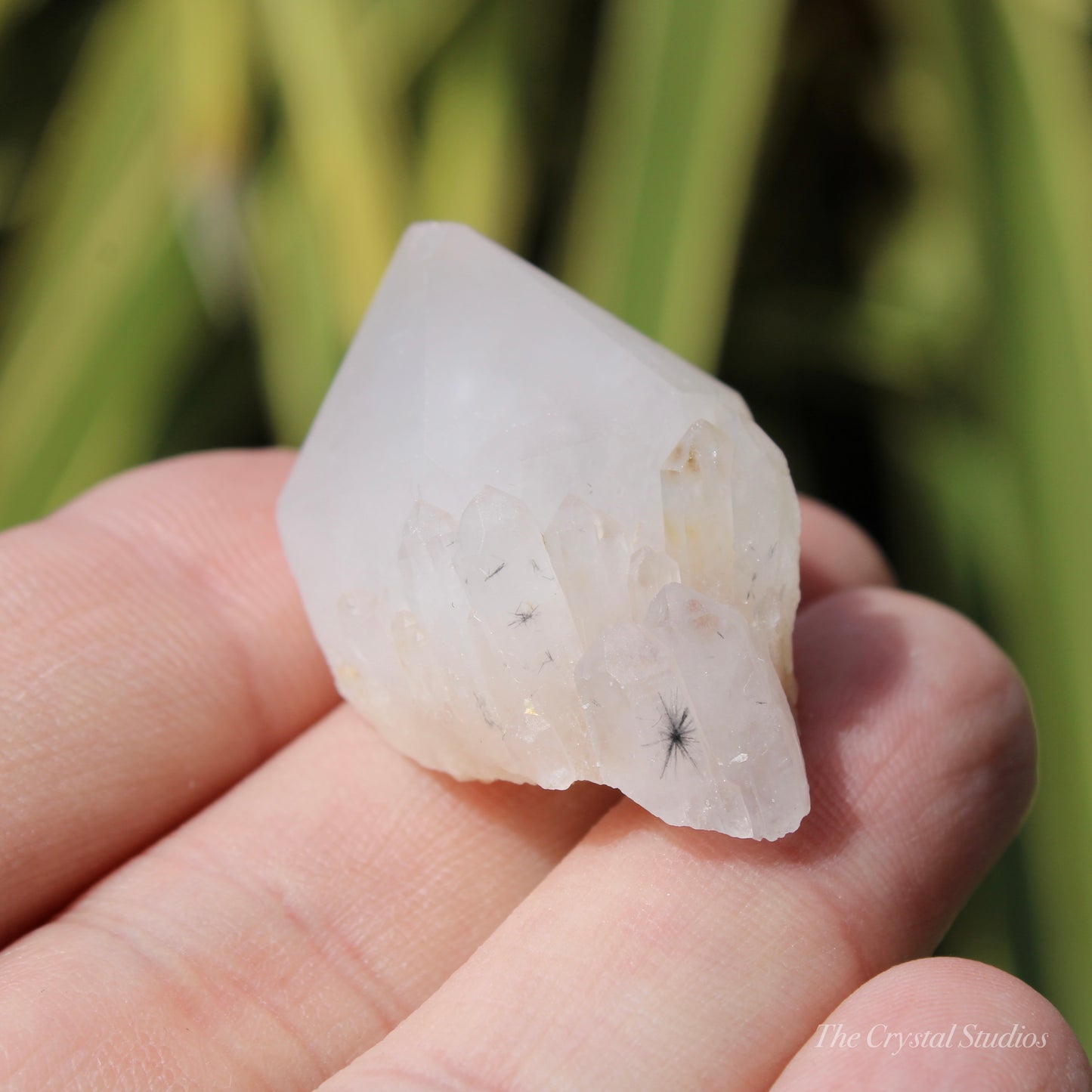 Holldanite Quartz Natural Point Crystal