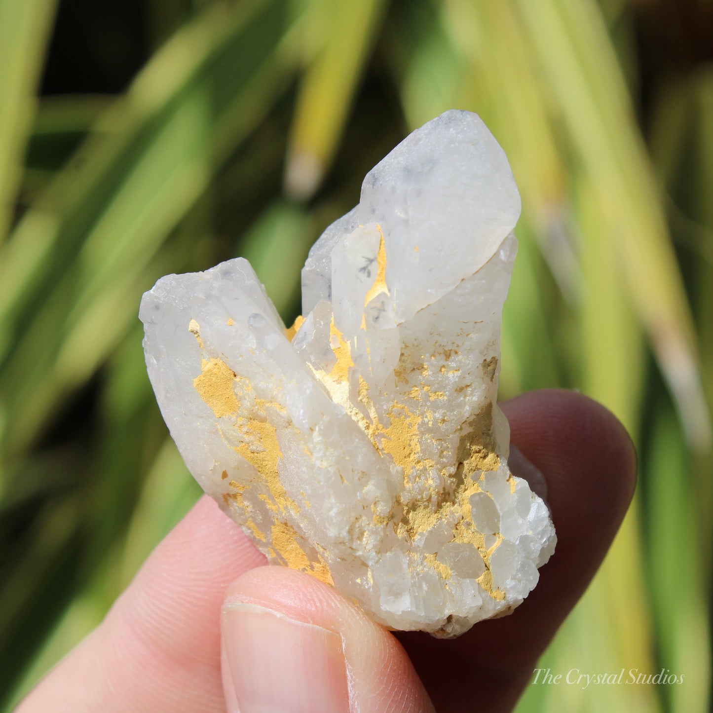 Holldanite Quartz Natural Cluster Crystal