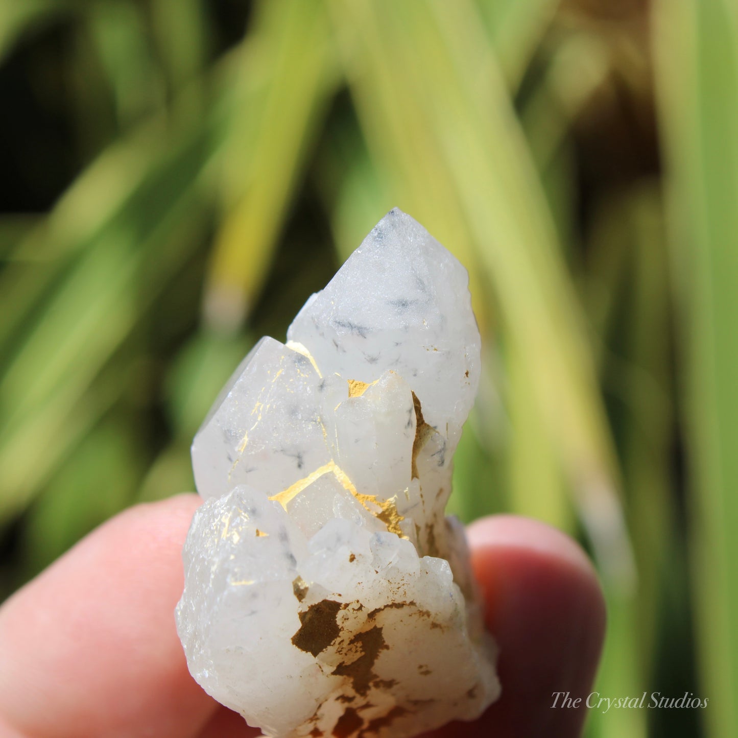 Holldanite Quartz Natural Cluster Crystal