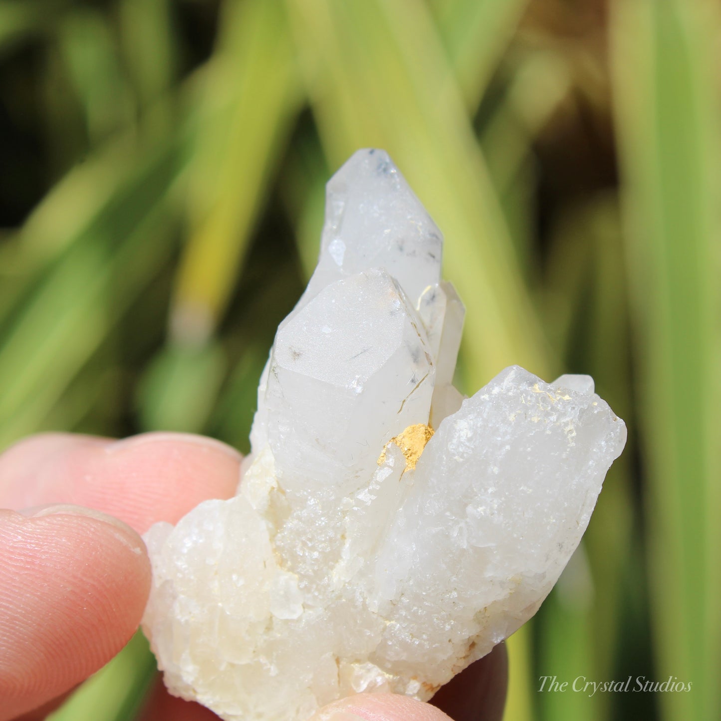 Holldanite Quartz Natural Cluster Crystal