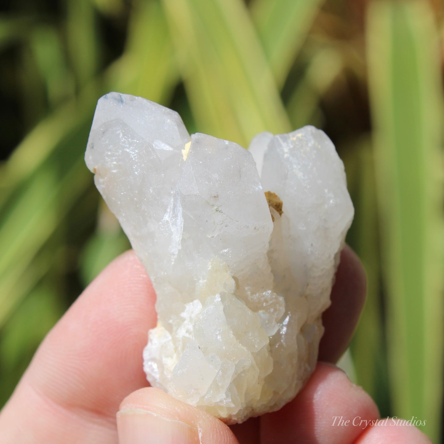 Holldanite Quartz Natural Cluster Crystal