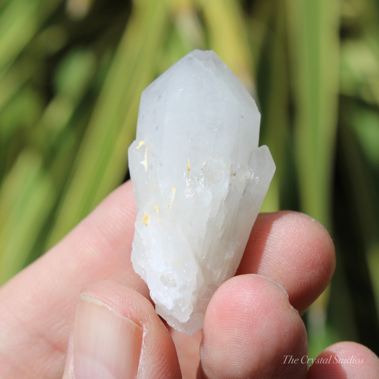 Holldanite Quartz Natural Point Crystal