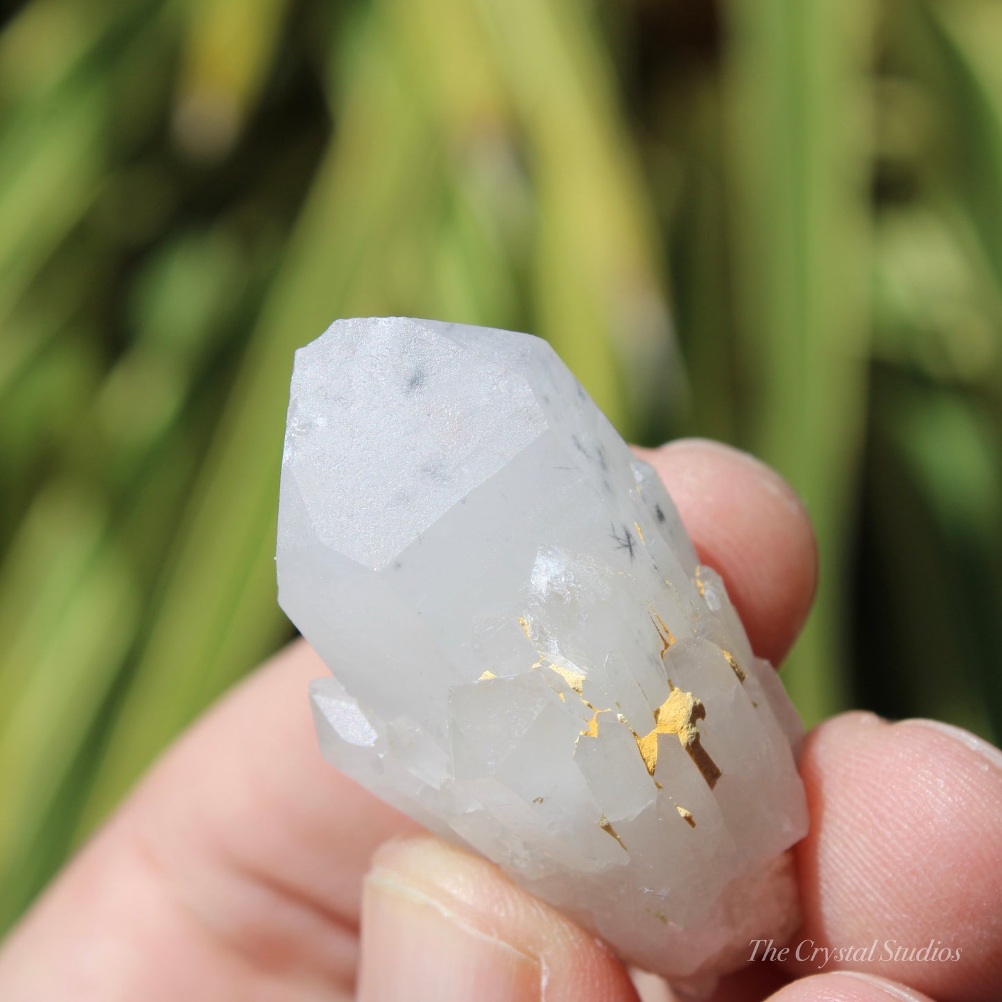 Holldanite Quartz Natural Point Crystal