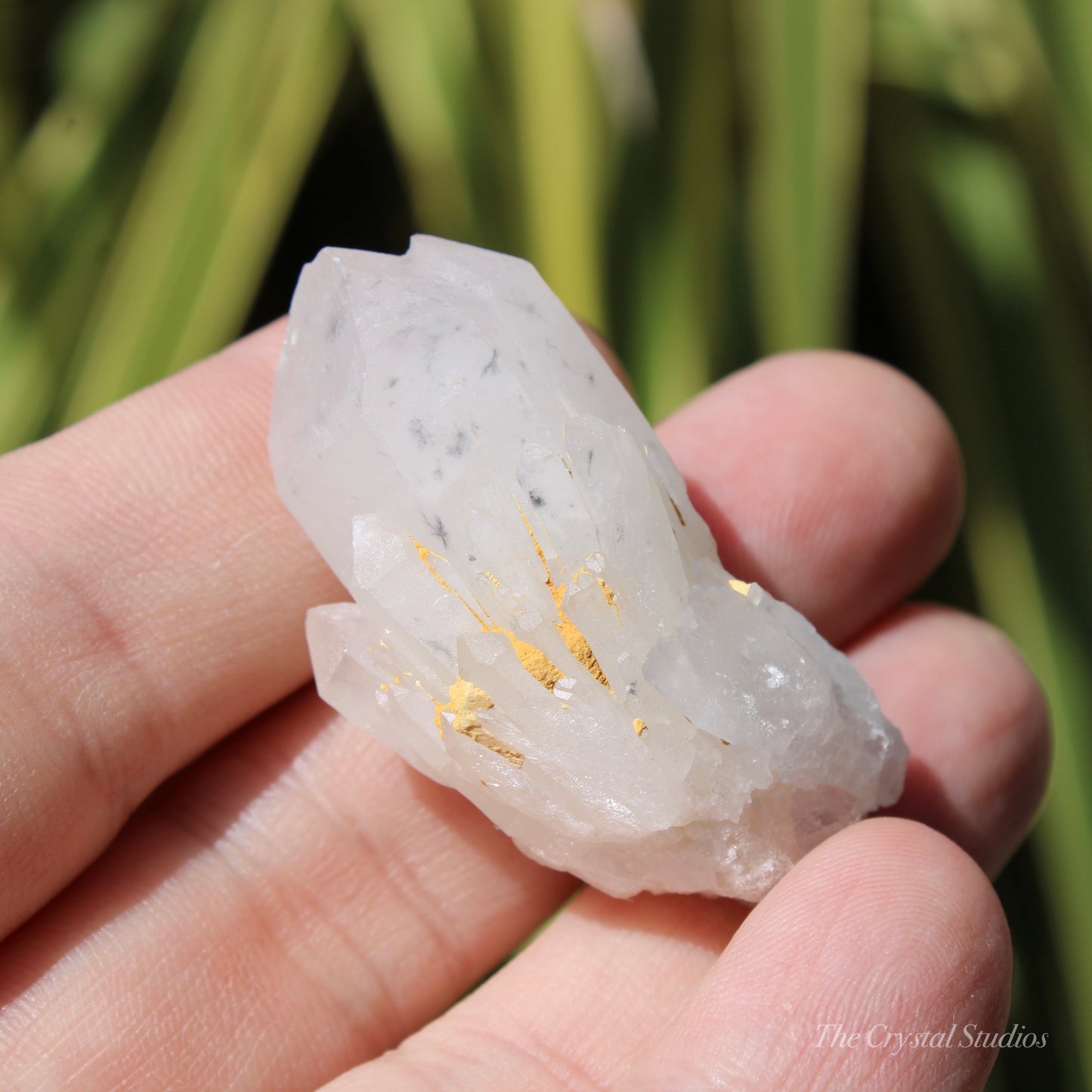 Holldanite Quartz Natural Point Crystal