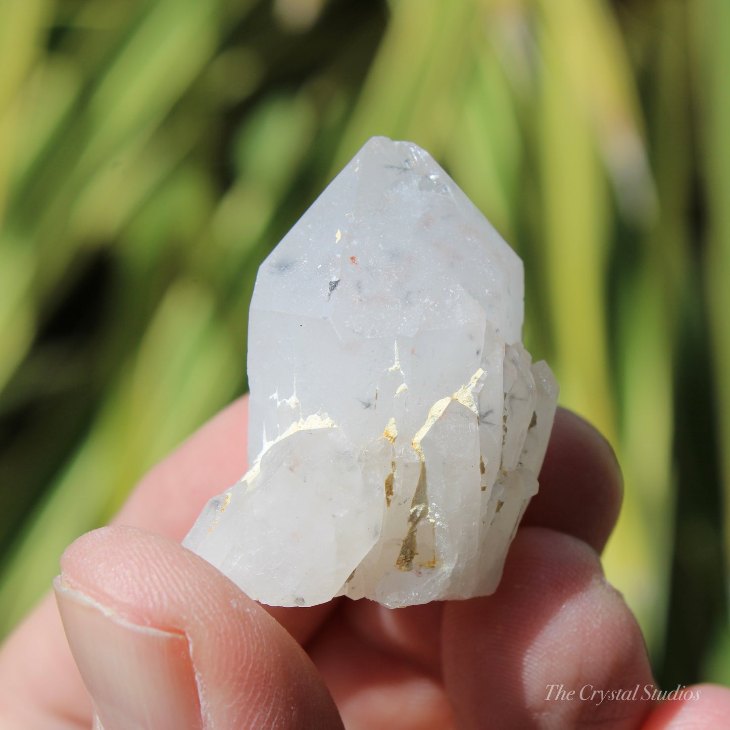 Holldanite Quartz Natural Point Crystal