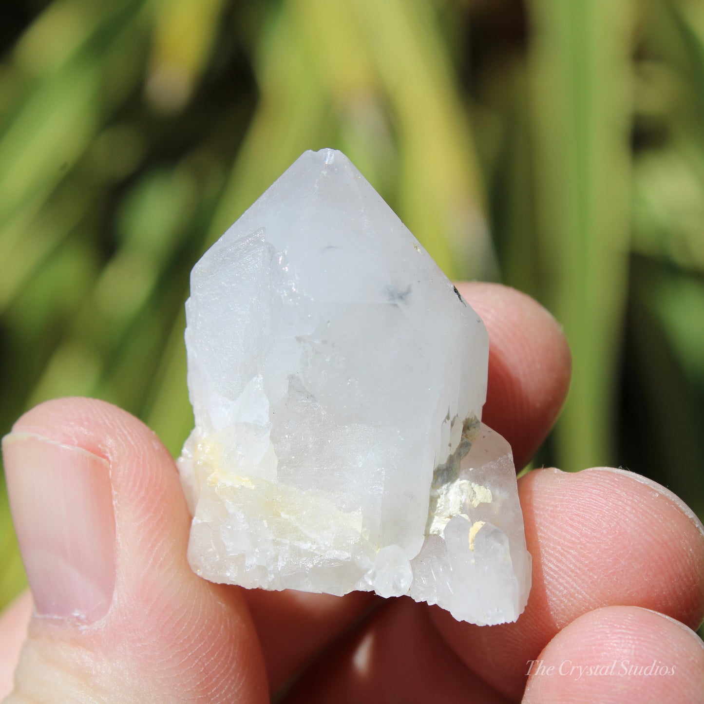 Holldanite Quartz Natural Point Crystal