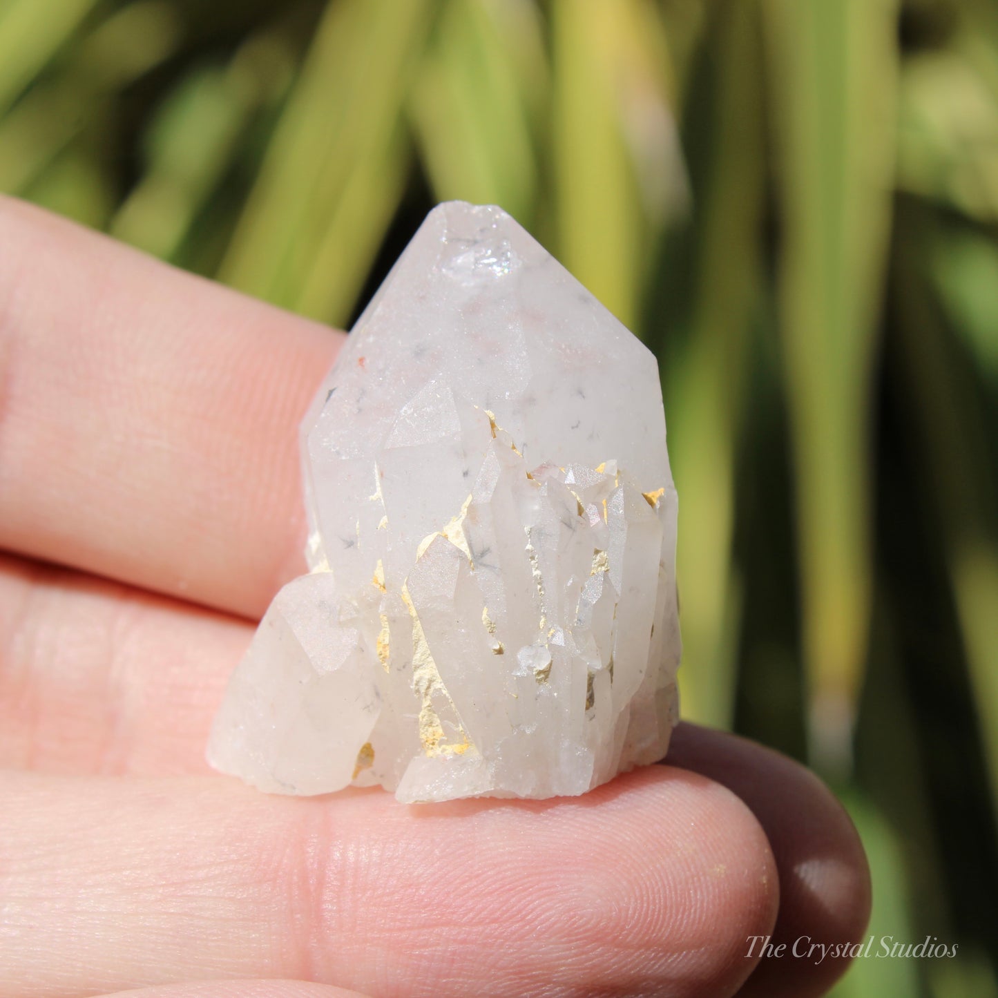 Holldanite Quartz Natural Point Crystal