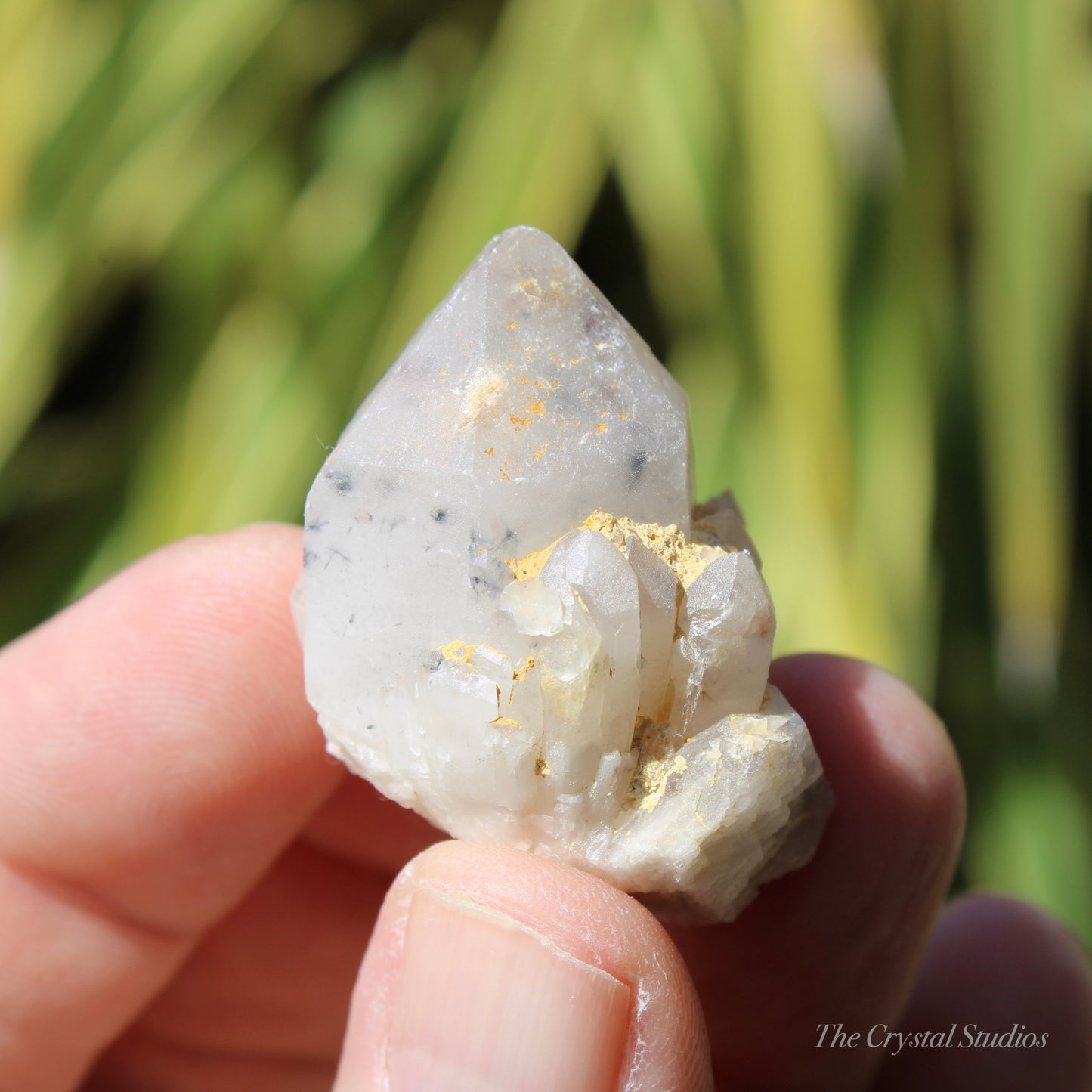 Holldanite Quartz Natural Point Crystal