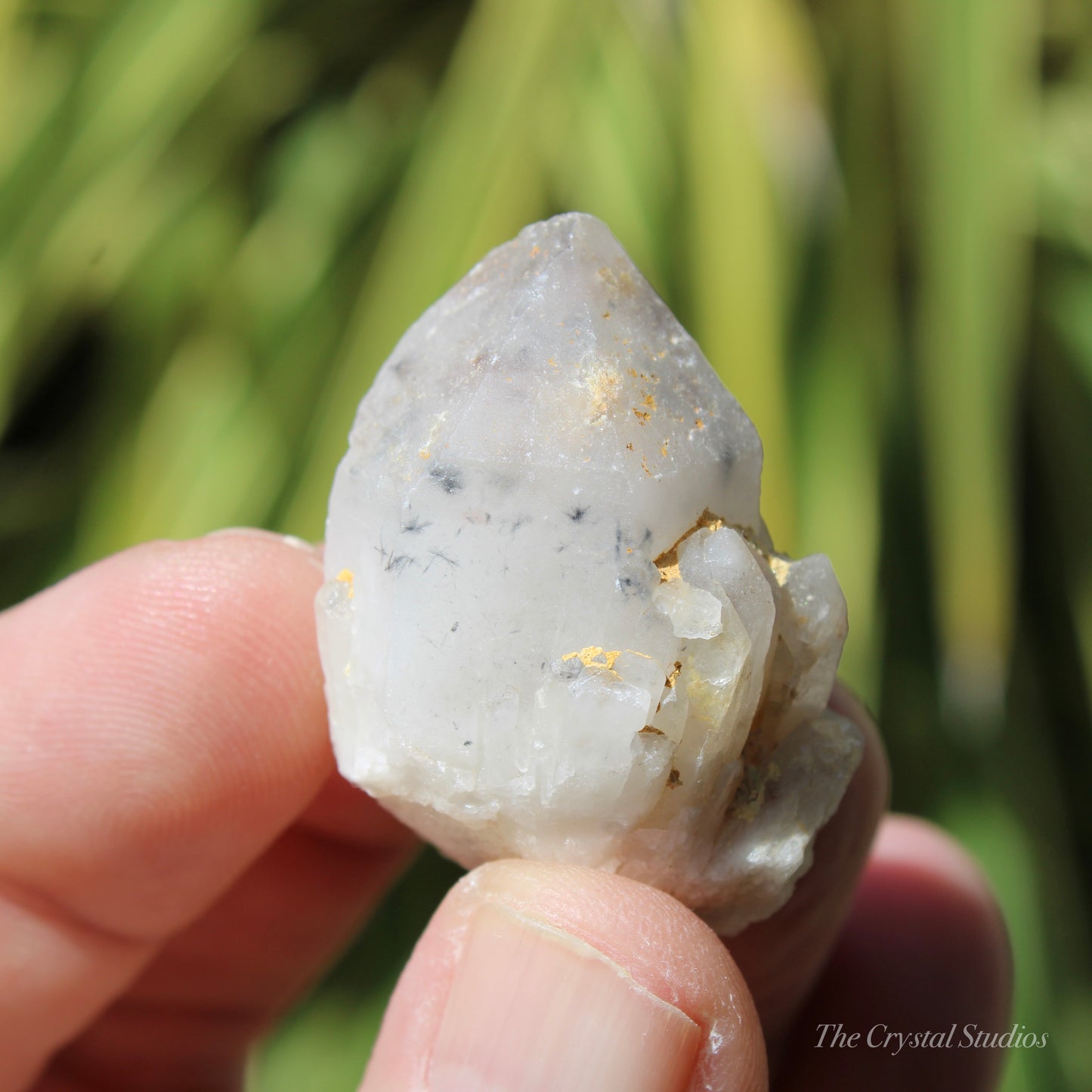 Holldanite Quartz Natural Point Crystal