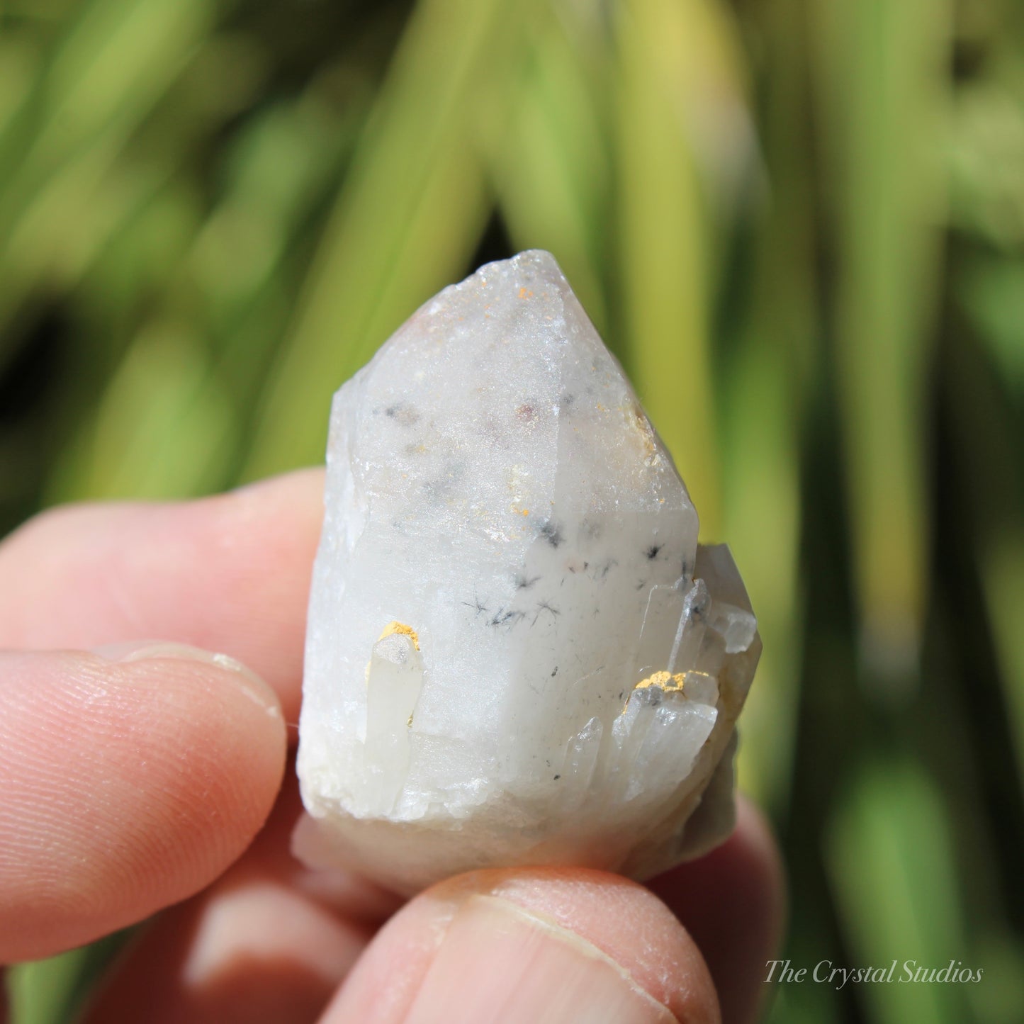 Holldanite Quartz Natural Point Crystal