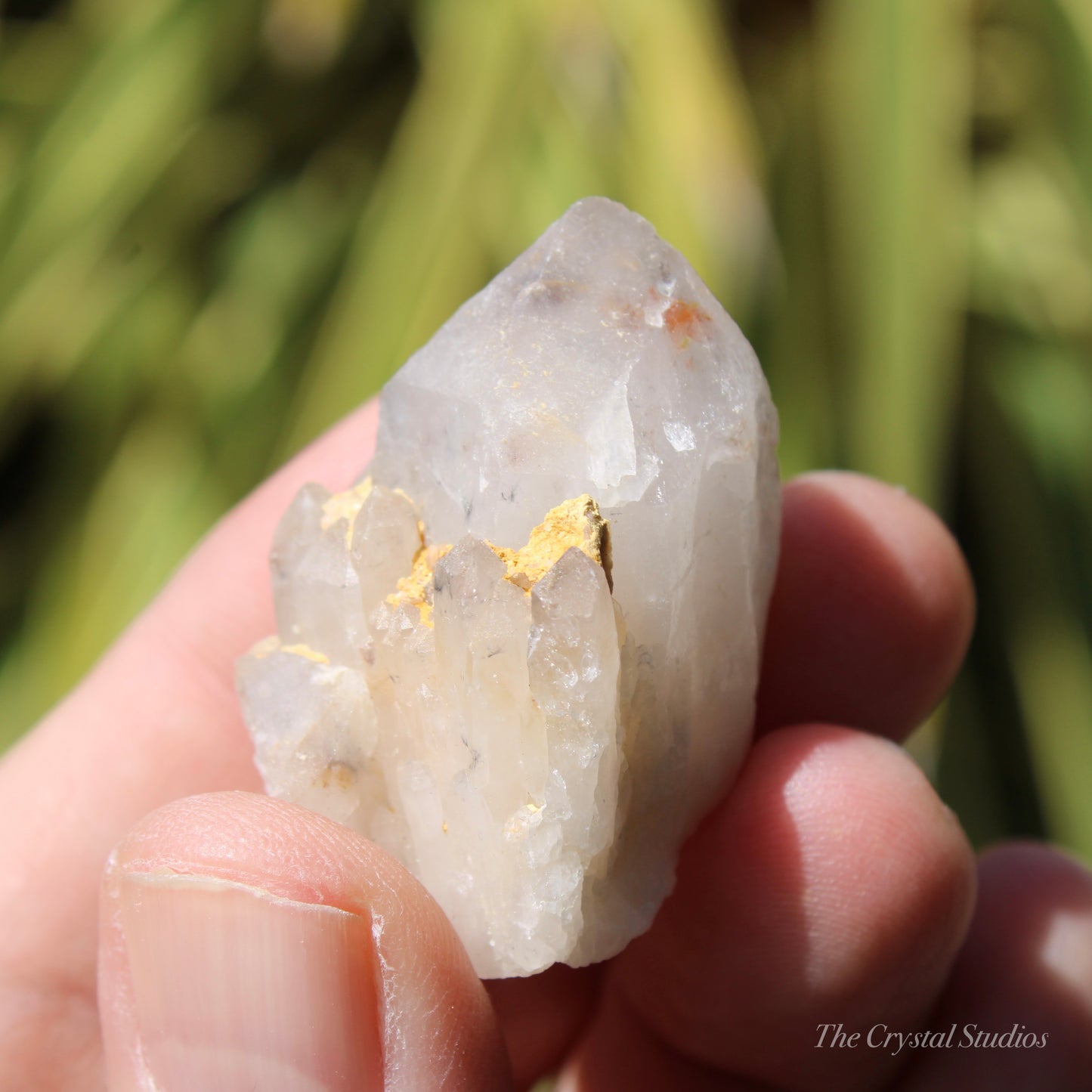 Holldanite Quartz Natural Point Crystal