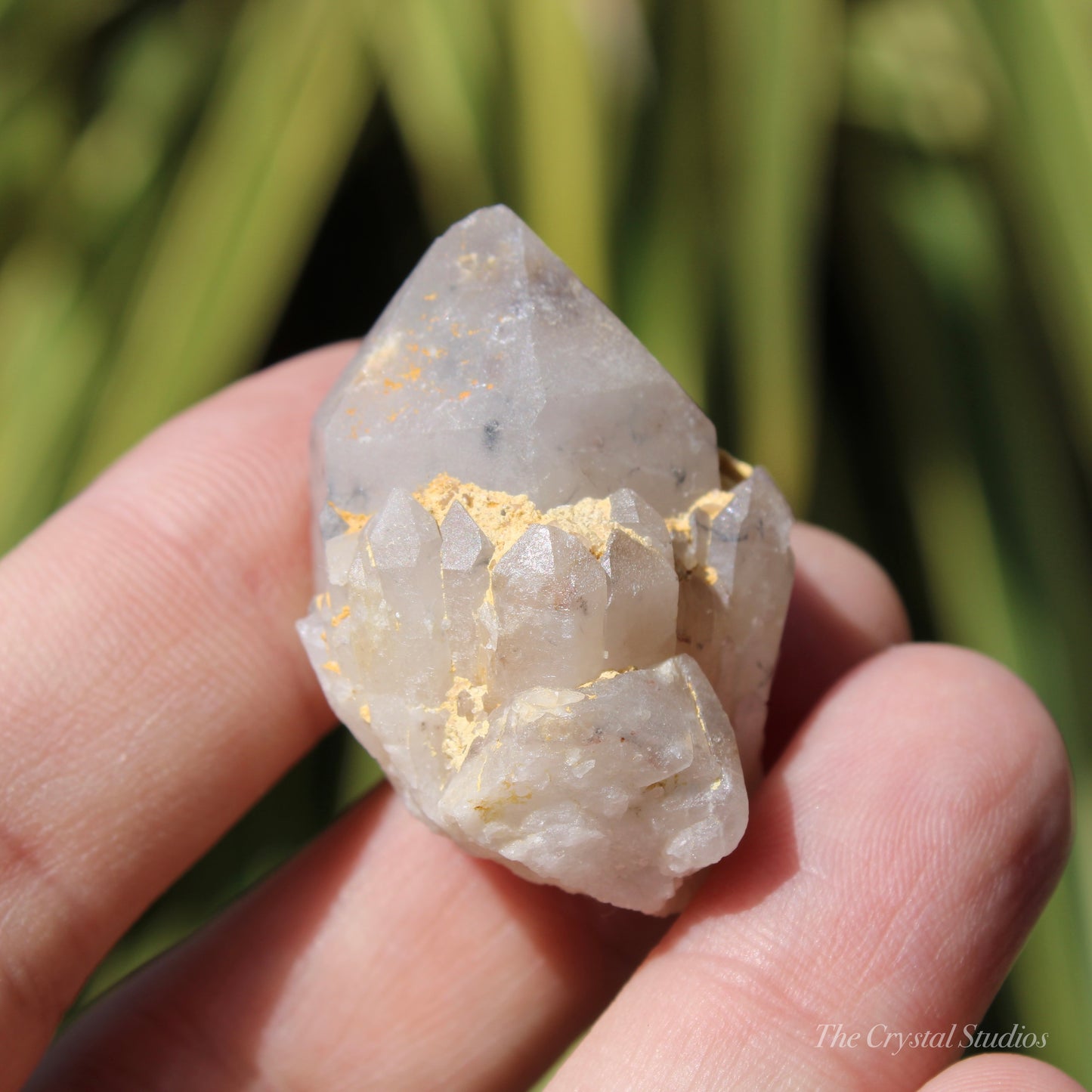 Holldanite Quartz Natural Point Crystal