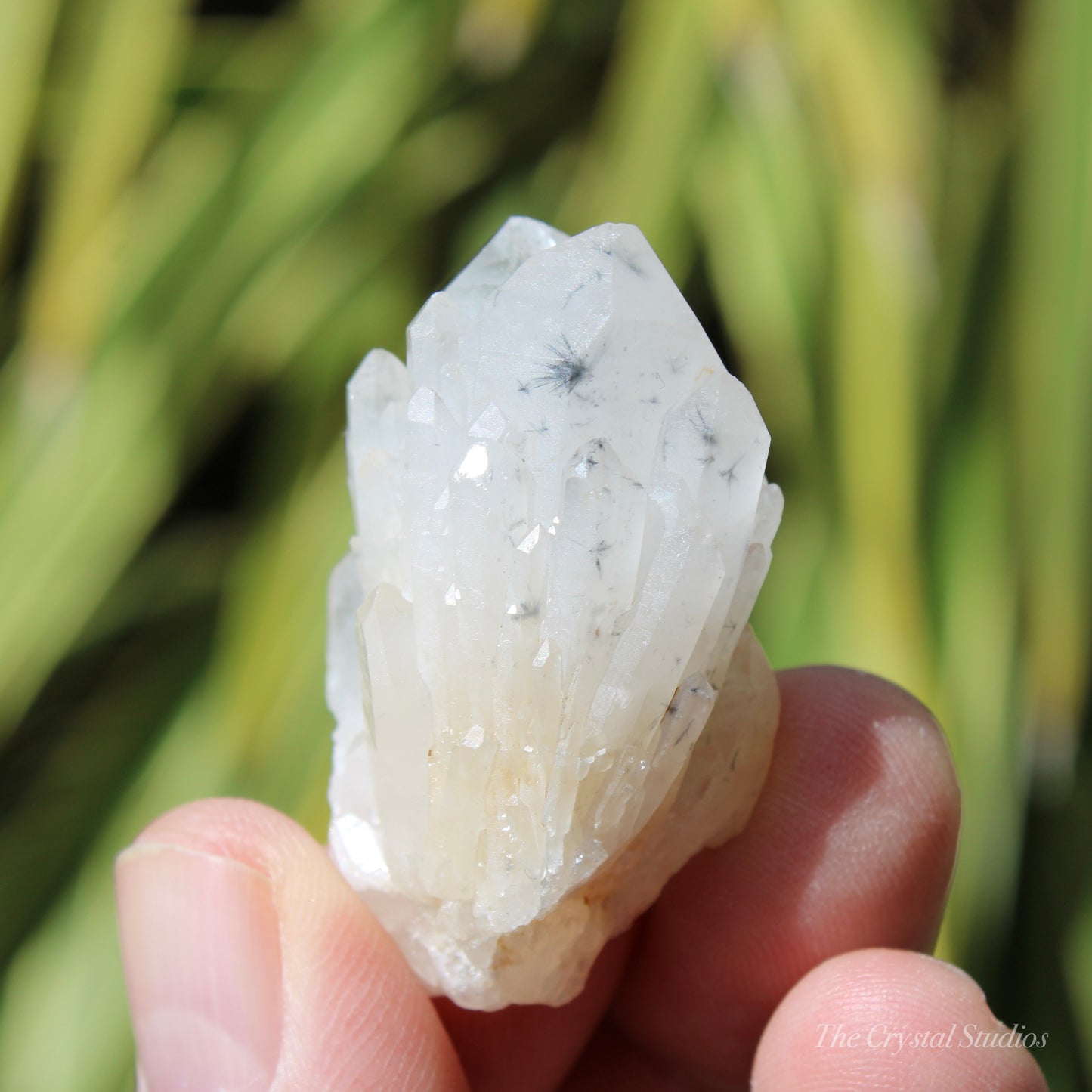 Holldanite Quartz Natural Cluster Crystal