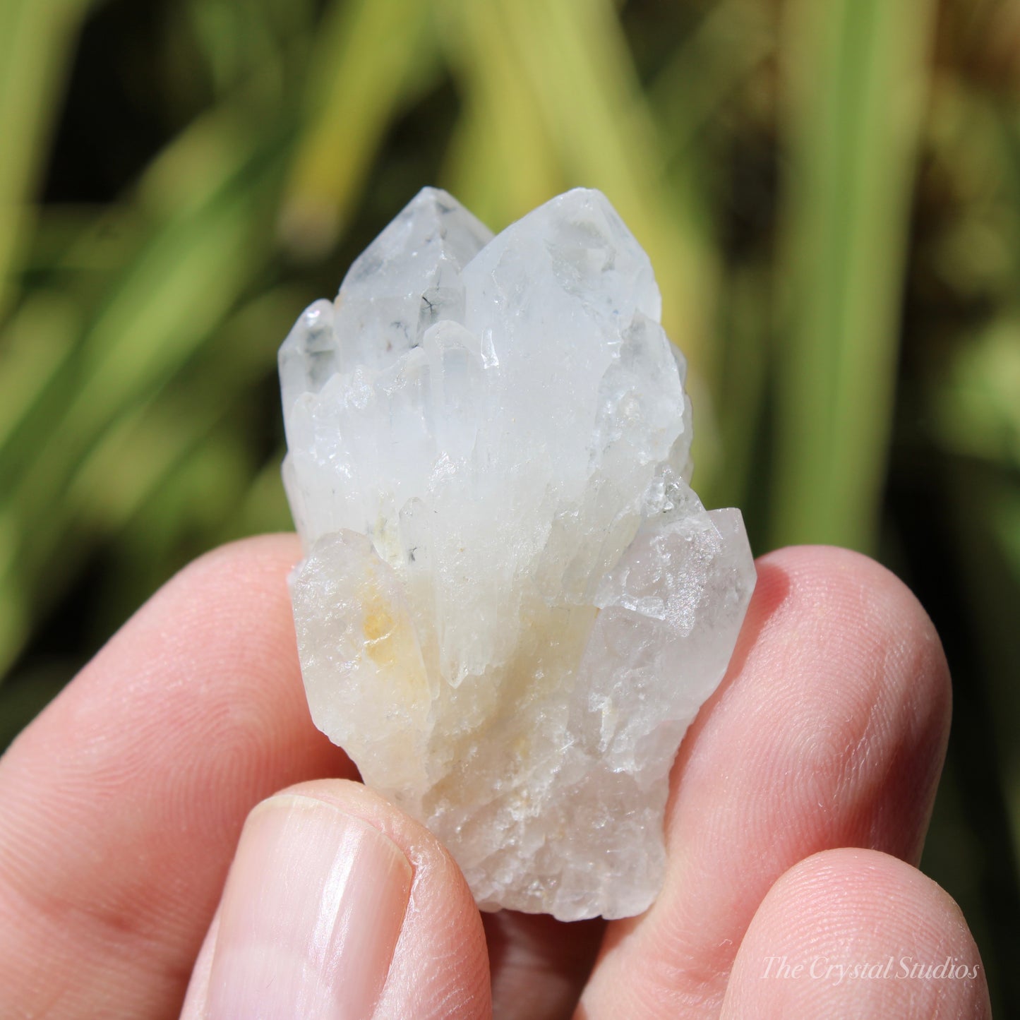 Holldanite Quartz Natural Cluster Crystal