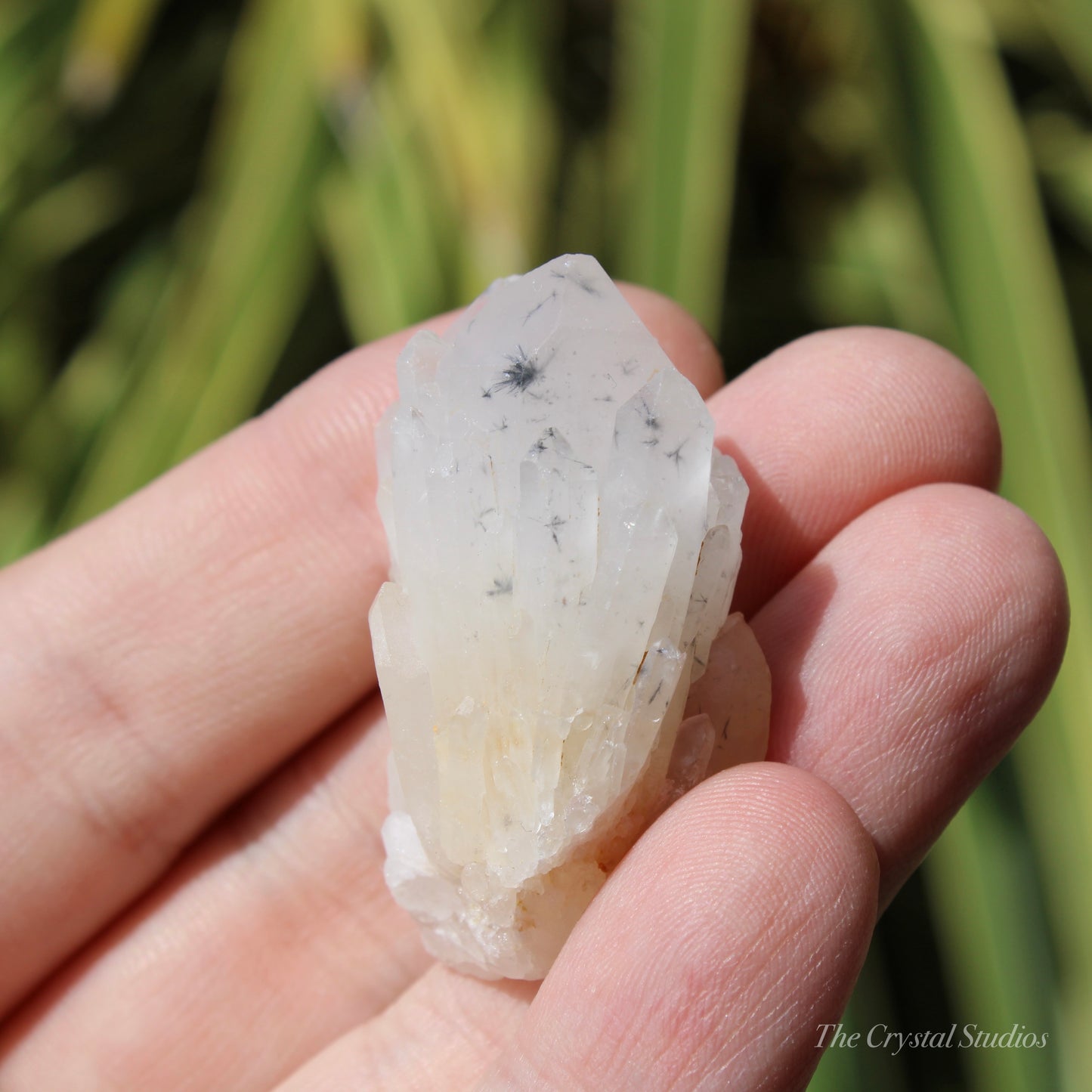 Holldanite Quartz Natural Cluster Crystal