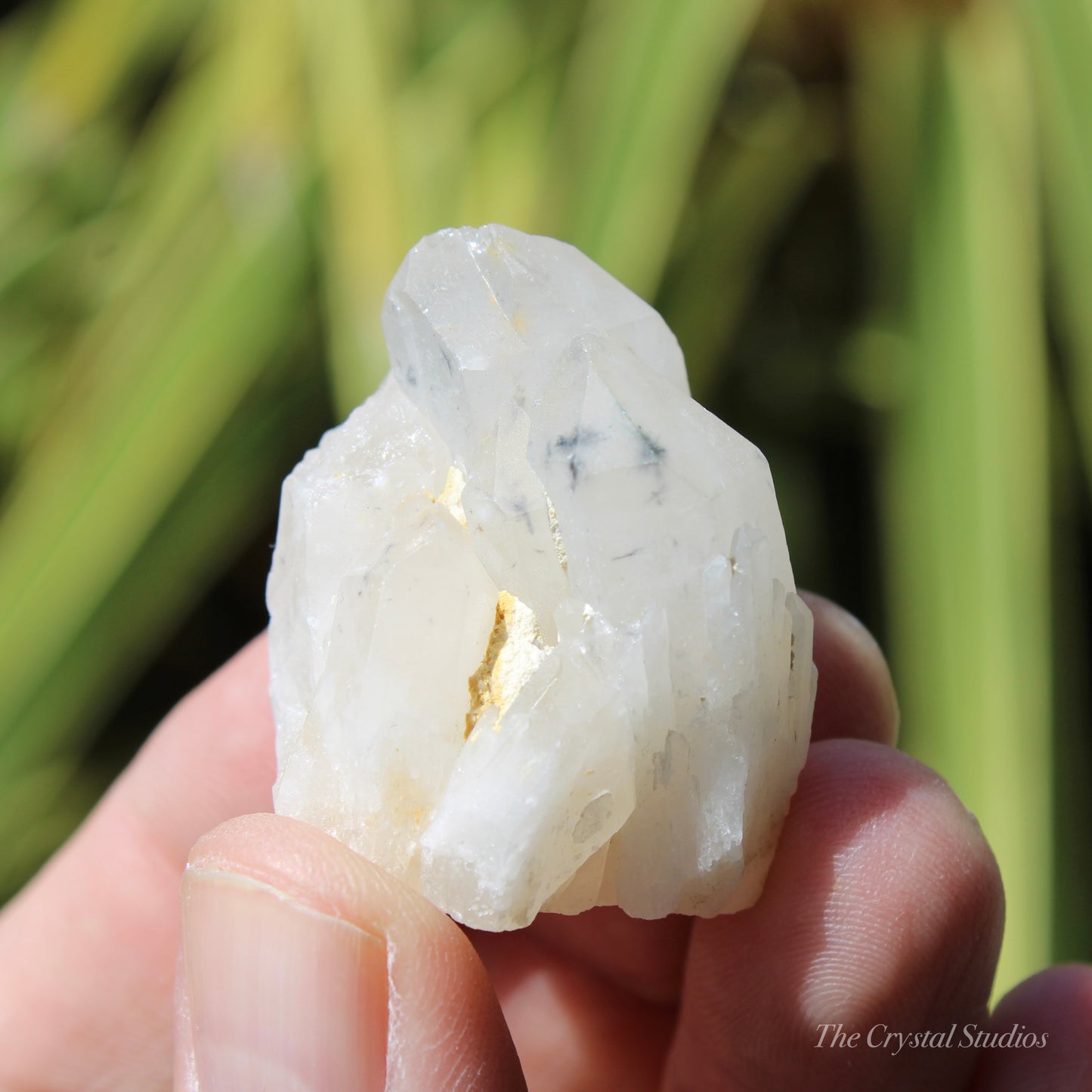 Holldanite Quartz Natural Cluster Crystal