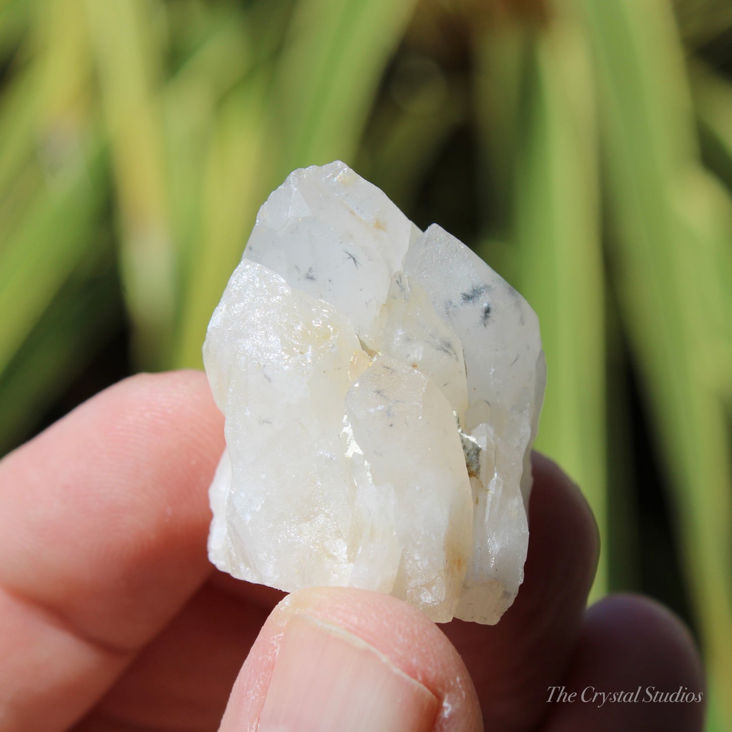 Holldanite Quartz Natural Cluster Crystal