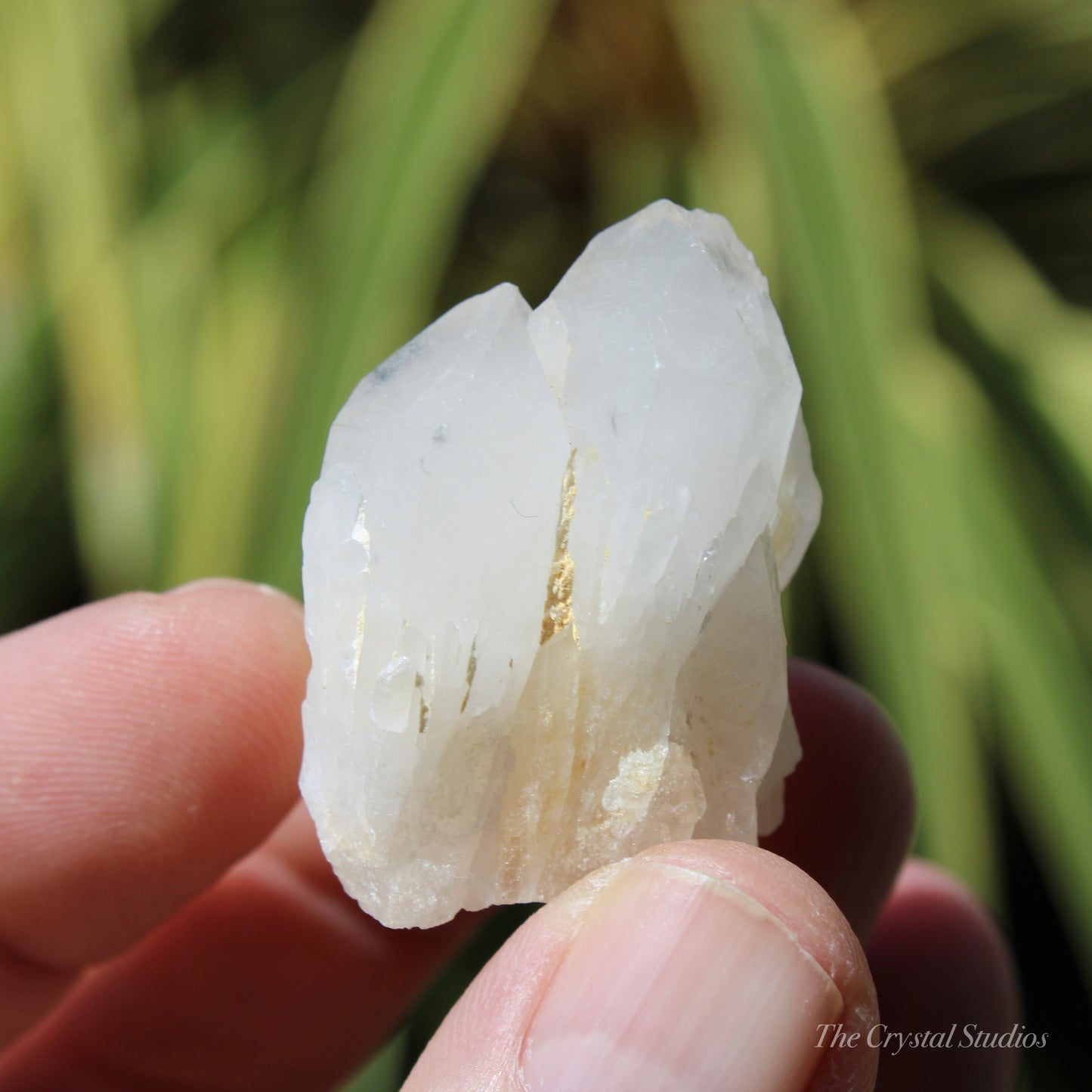 Holldanite Quartz Natural Cluster Crystal