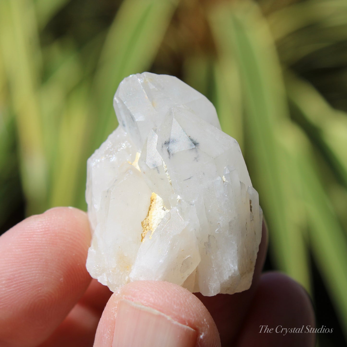 Holldanite Quartz Natural Cluster Crystal