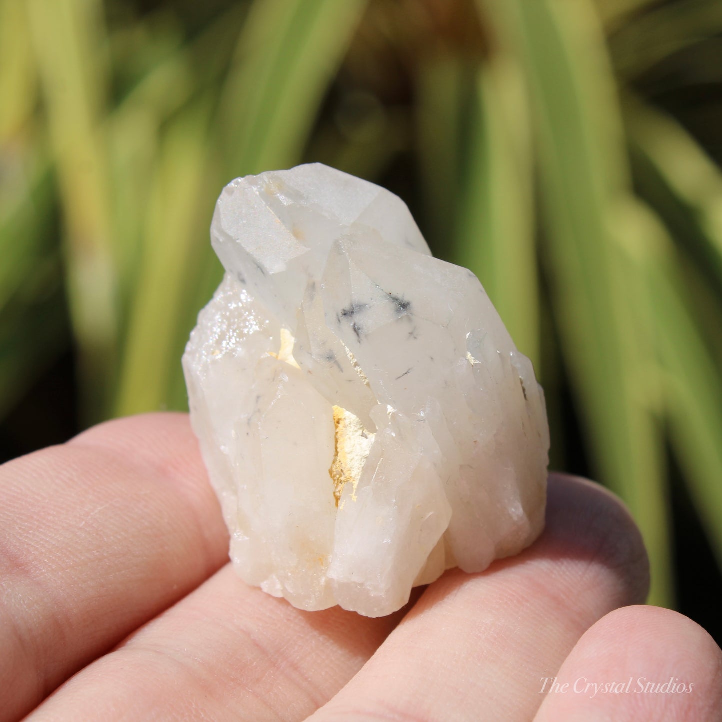 Holldanite Quartz Natural Cluster Crystal