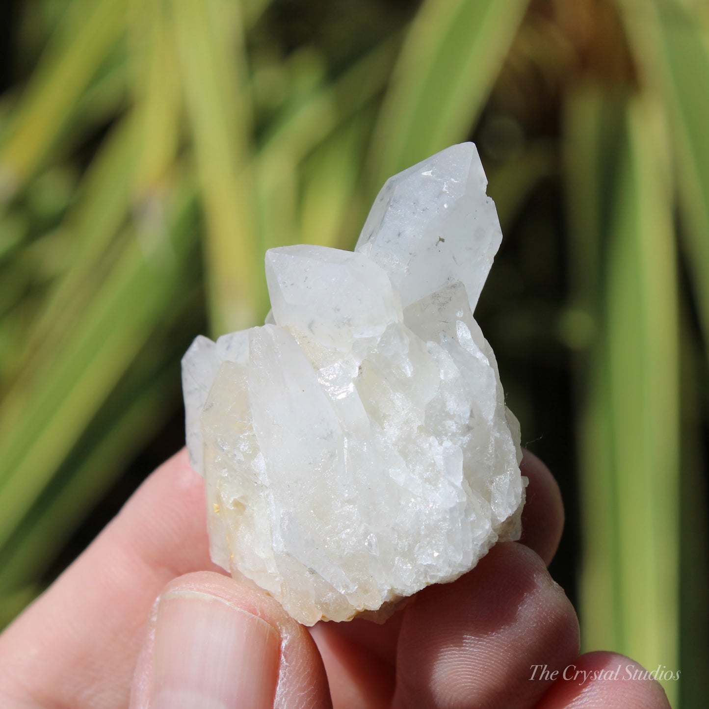 Holldanite Quartz Natural Cluster Crystal