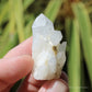 Holldanite Quartz Natural Cluster Crystal