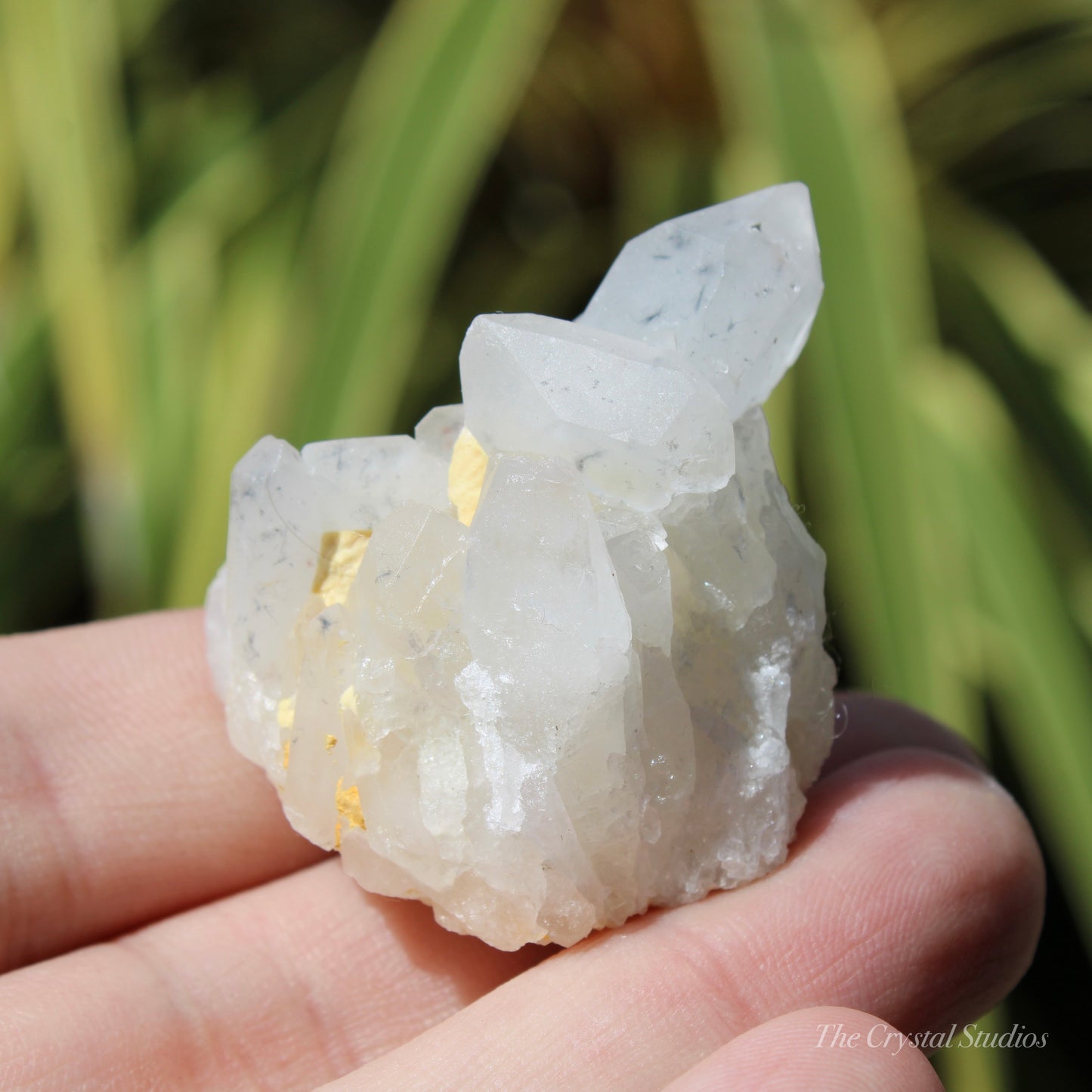 Holldanite Quartz Natural Cluster Crystal