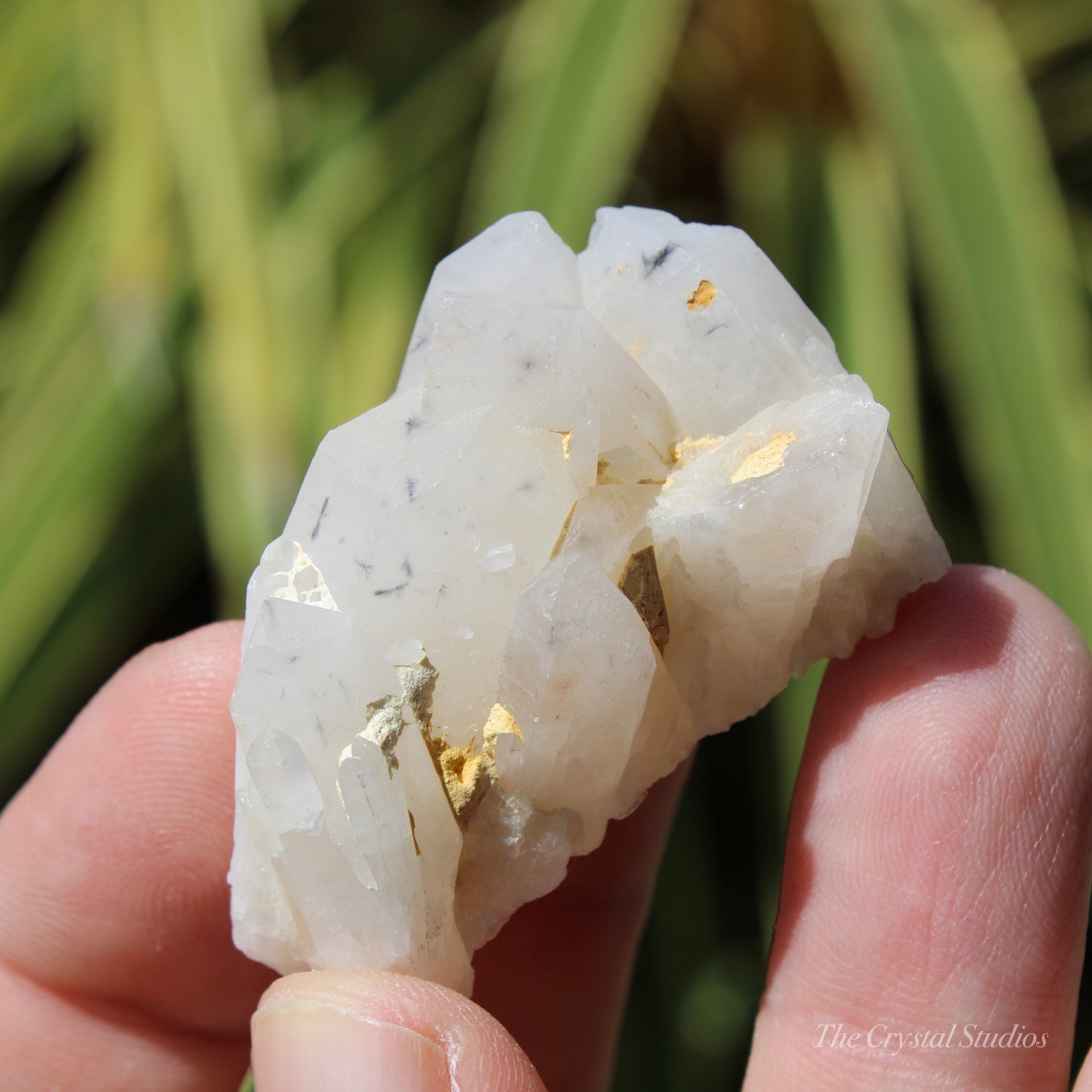 Holldanite Quartz Natural Cluster Crystal