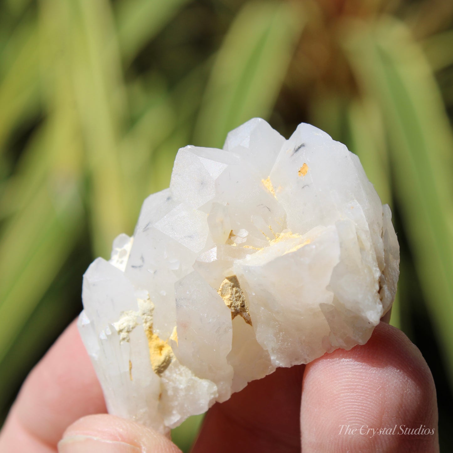 Holldanite Quartz Natural Cluster Crystal