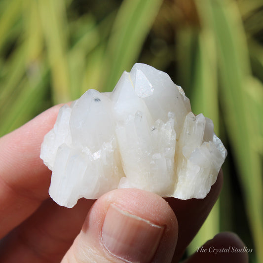 Holldanite Quartz Natural Cluster Crystal